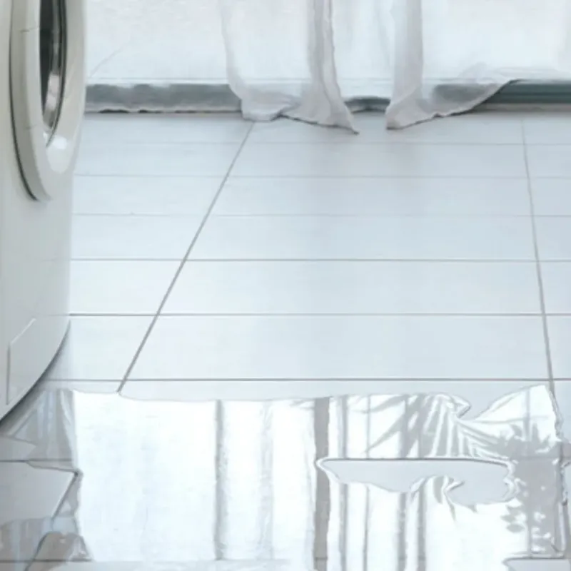 Appliance Leak Cleanup in Cordova, AK